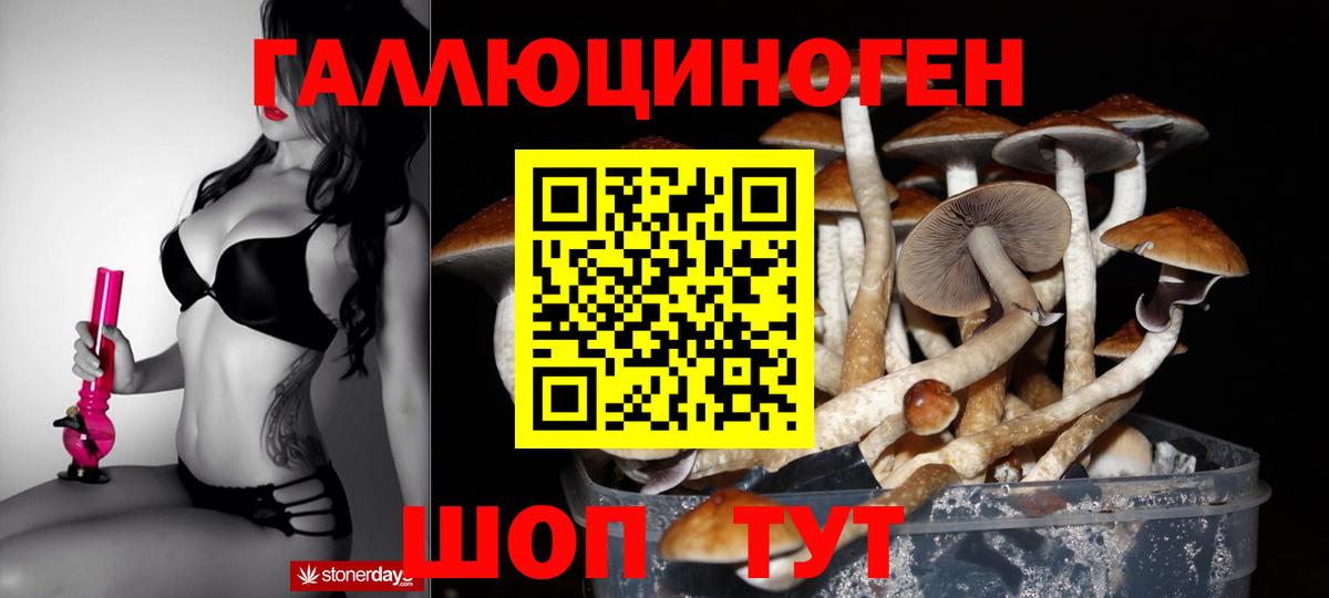 Псилоцибиновые грибы мухоморы  цена наркотик  Вход с VPN  Туймазы  Галлюциногенные грибы Cubensis 
